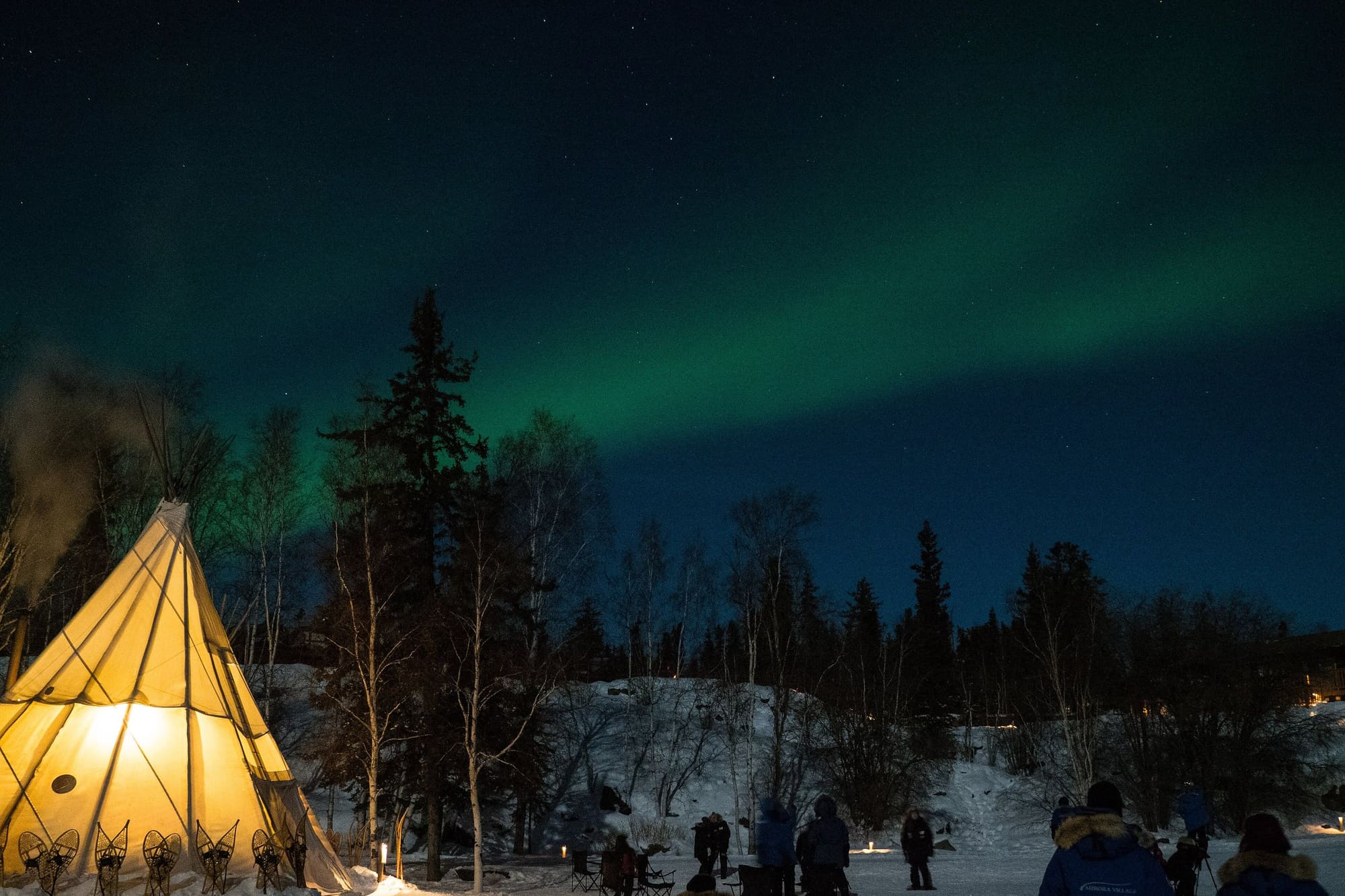Northern lights over spruce trees near Yellowknife