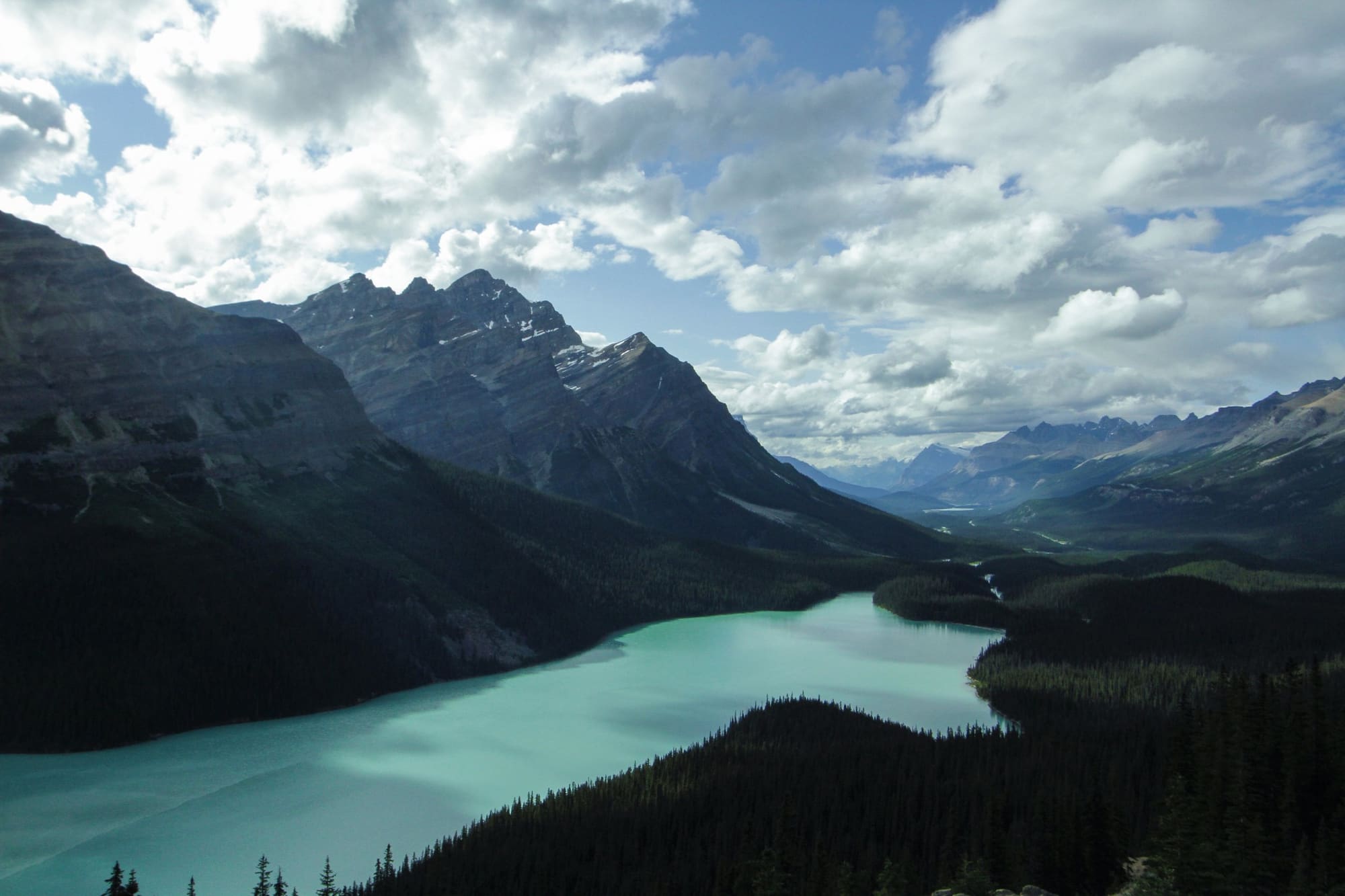 The turquoise Peyto Lake between forested mountains